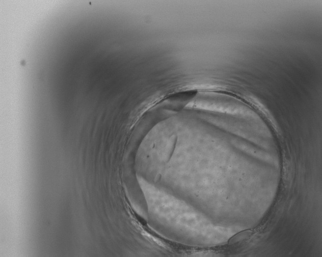 X0000080110385200612221810