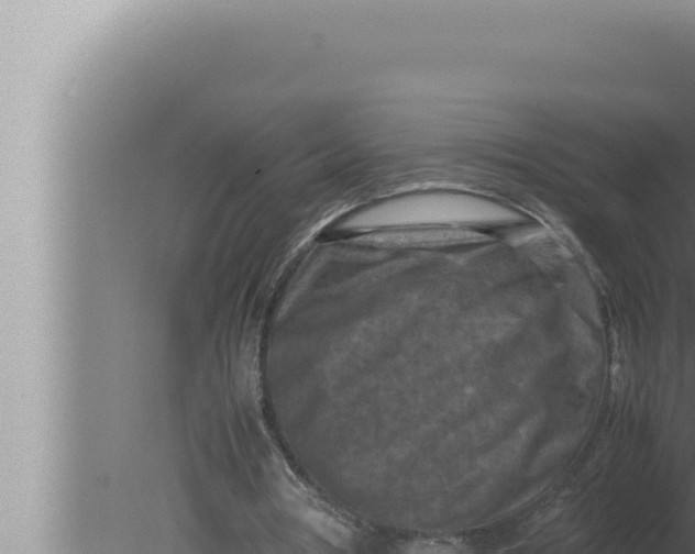 X0000080110386200612221810