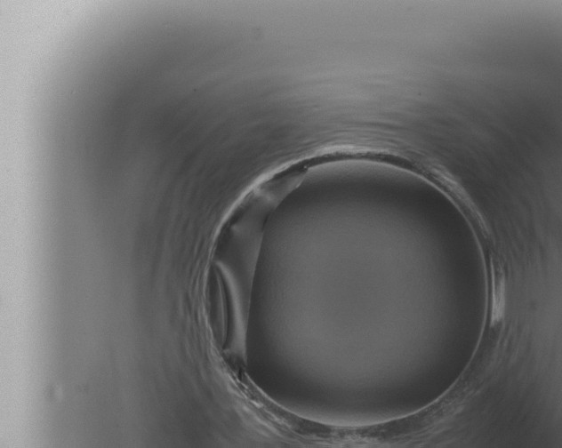 X0000080110387200612221810