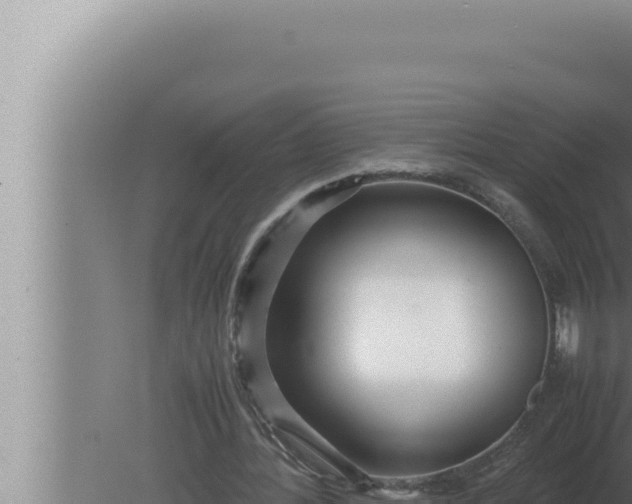 X0000080110388200612221810