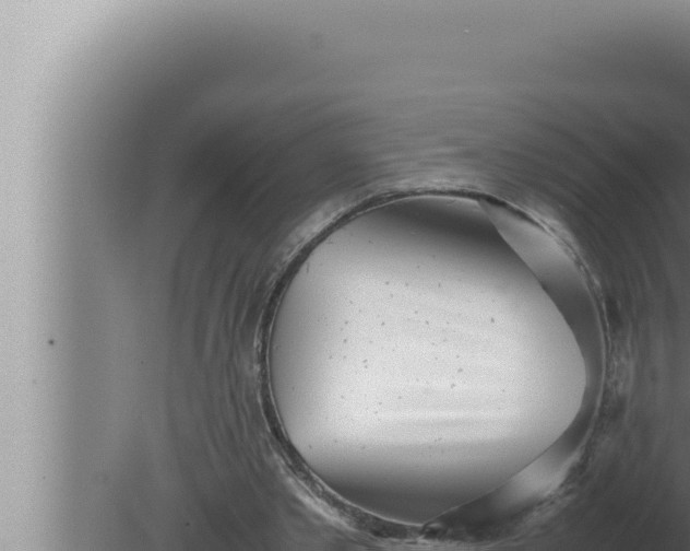 X0000080110389200612221810