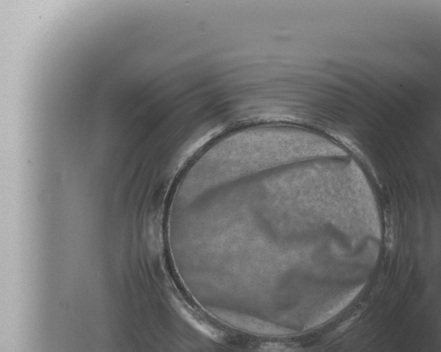 X0000080110390200612221810