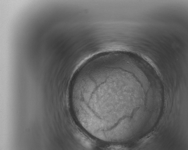 X0000080110391200612221810