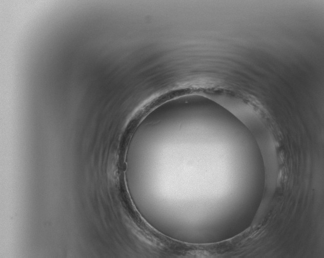 X0000080110392200612221810