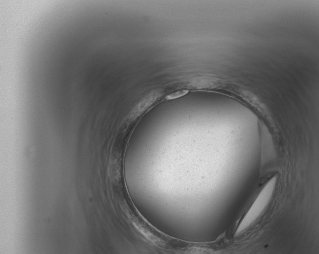 X0000080110393200612221810