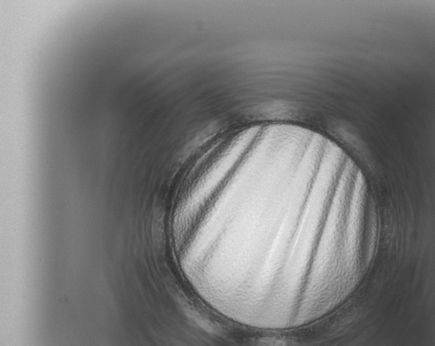 X0000080110394200612221810