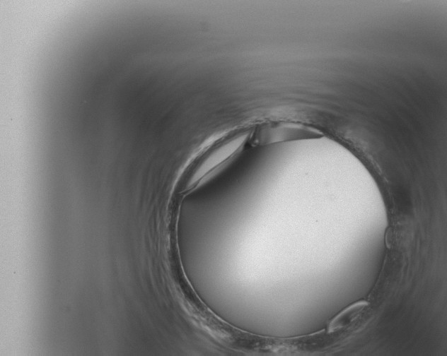 X0000080110395200612221810