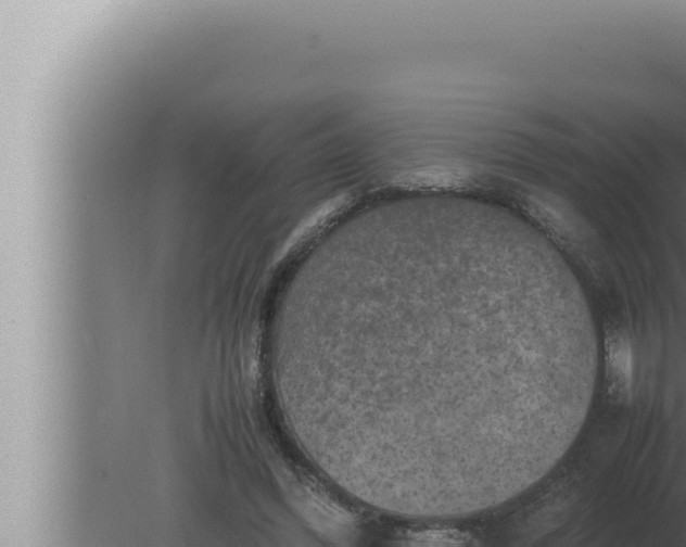 X0000080110396200612221810