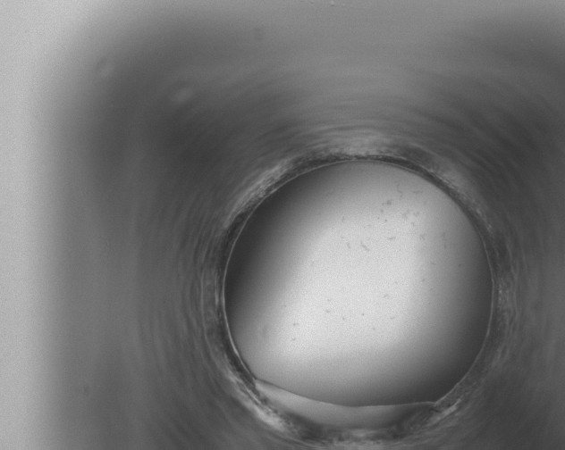 X0000080110397200612221810