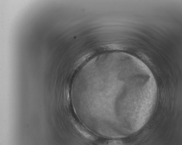 X0000080110398200612221810