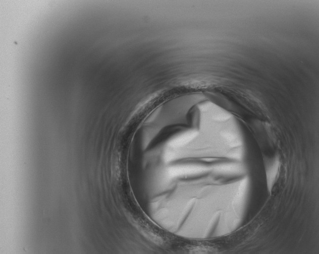 X0000080110400200612221810