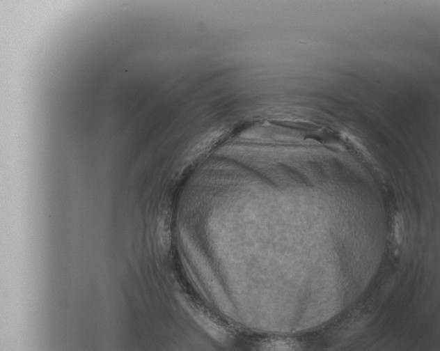 X0000080110402200612221810