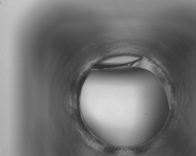 X0000080110403200612221810