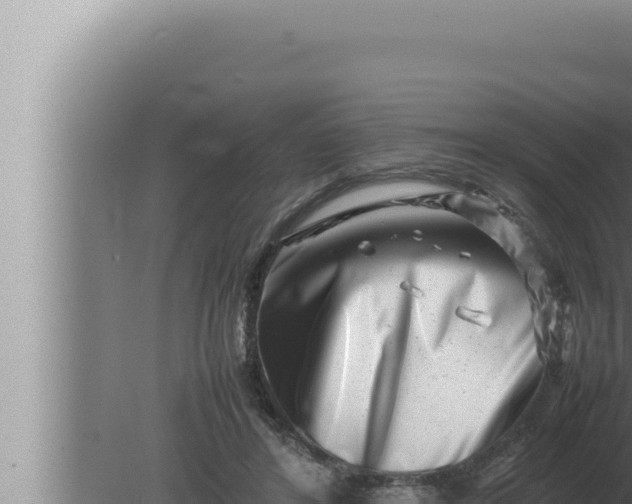 X0000080110404200612221810