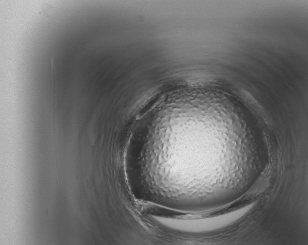 X0000080110405200612221810