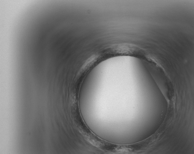 X0000080110407200612221810