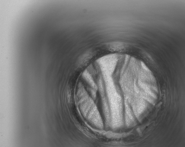 X0000080110408200612221810