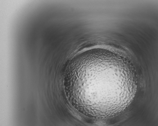 X0000080110409200612221810