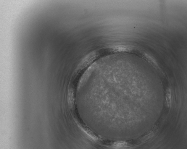 X0000080110410200612221810