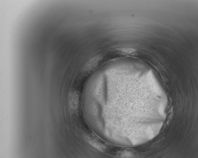 X0000080110412200612221810