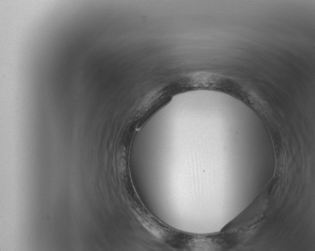 X0000080110413200612221810