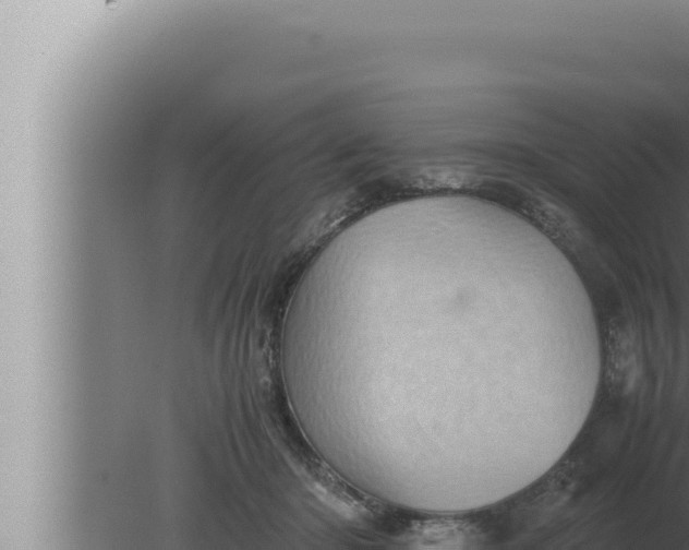 X0000080110414200612221810