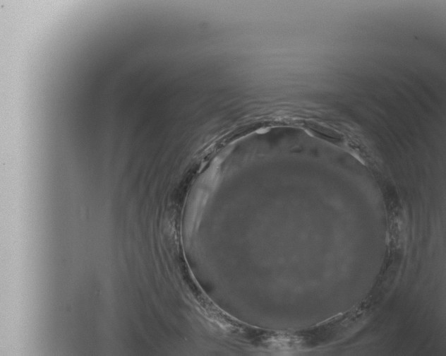 X0000080110415200612221810