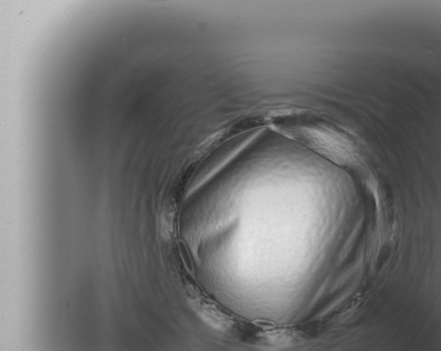 X0000080110417200612221810