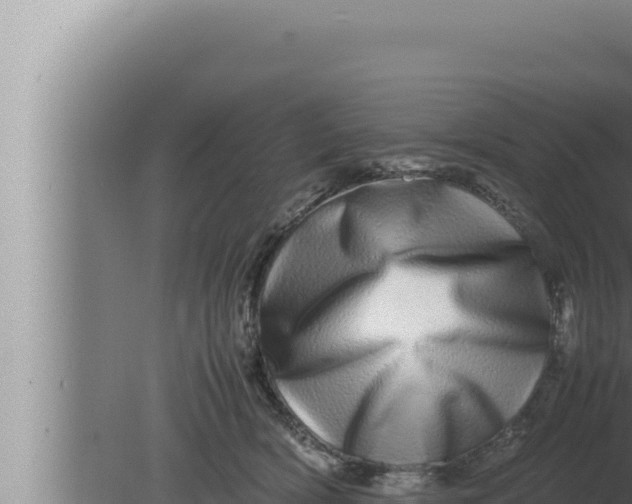 X0000080110418200612221810