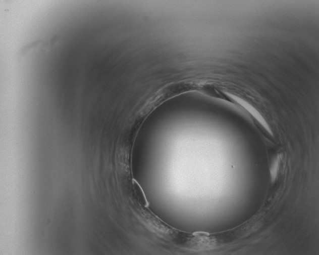 X0000080110421200612221810