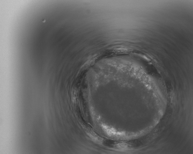 X0000080110423200612221809