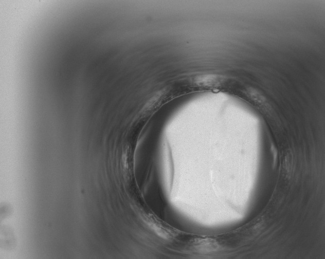 X0000080110424200612221809