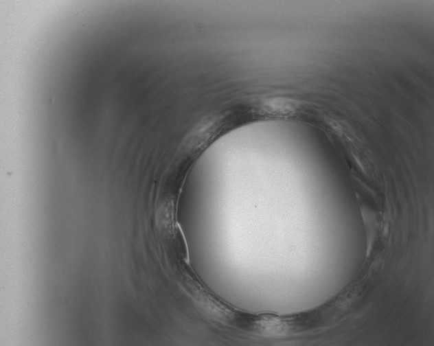 X0000080110425200612221809