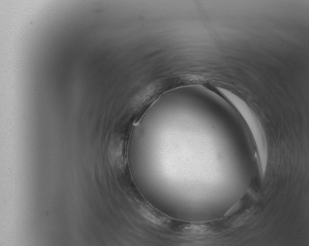 X0000080110428200612221809