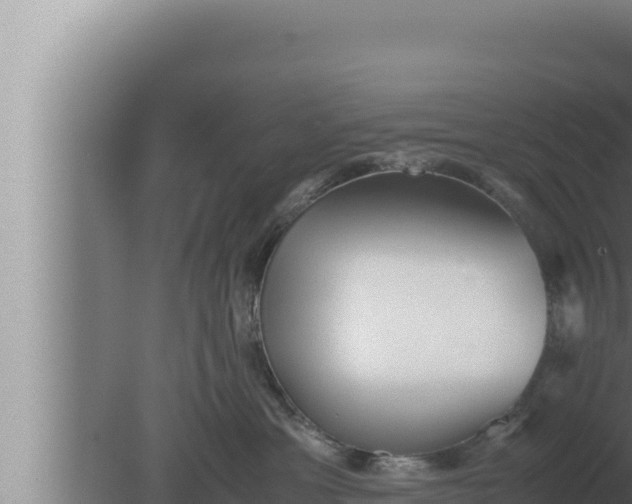 X0000080110429200612221809