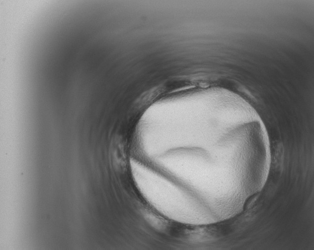 X0000080110430200612221809