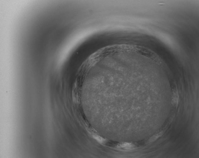 X0000080110431200612221809