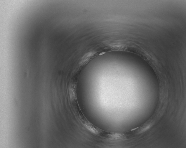 X0000080110432200612221809