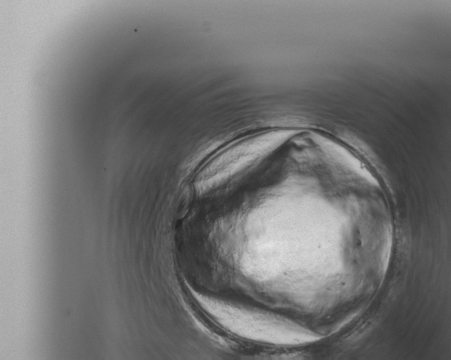 X0000080110433200612221809