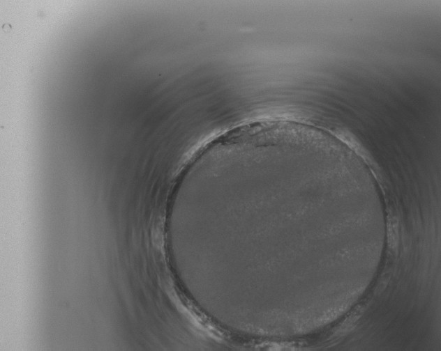 X0000080110434200612221809