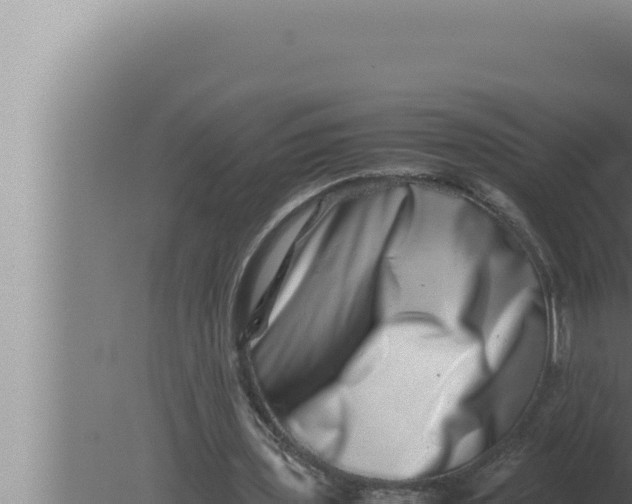 X0000080110435200612221809