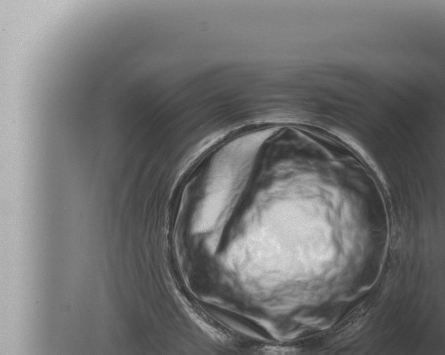 X0000080110437200612221809