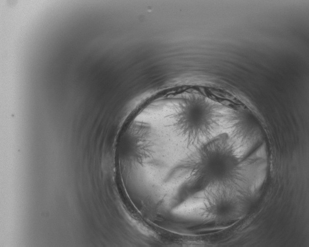 X0000080110438200612221809