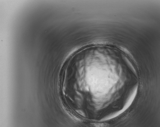 X0000080110439200612221809