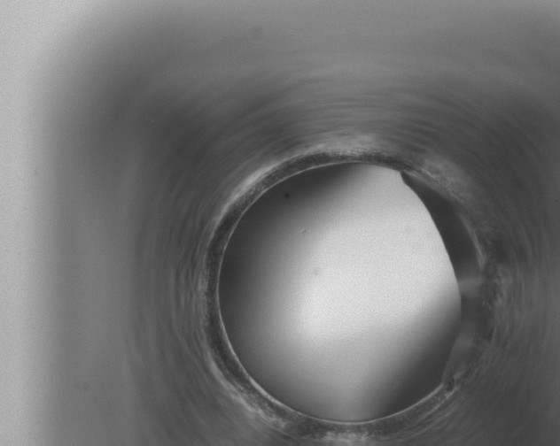 X0000080110440200612221809