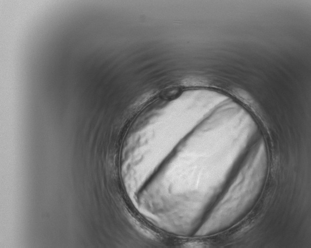 X0000080110441200612221809