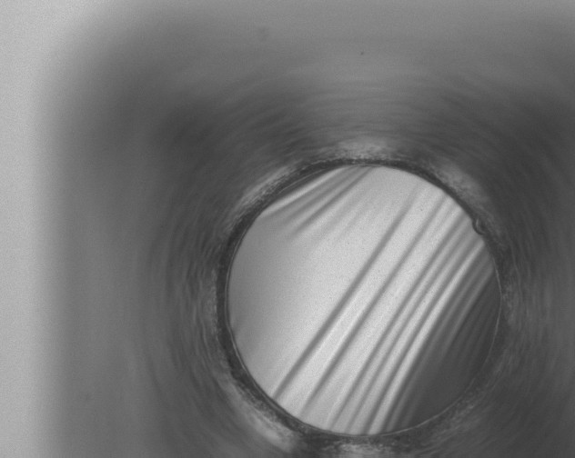 X0000080110442200612221809