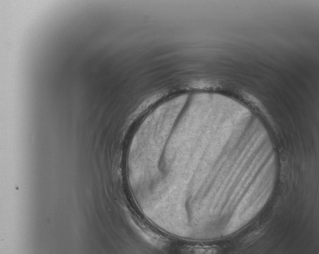 X0000080110443200612221809