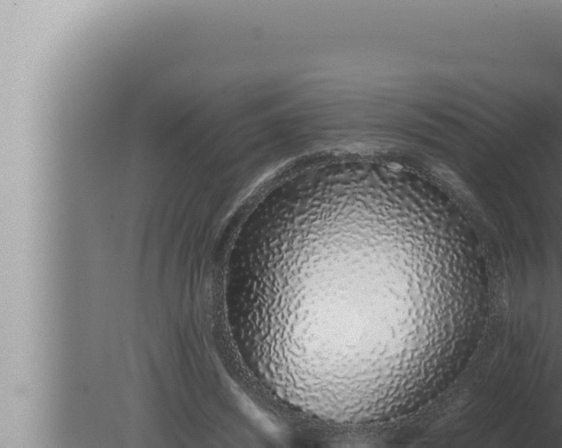 X0000080110444200612221809