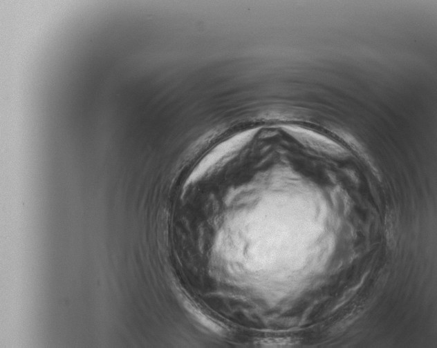 X0000080110445200612221809